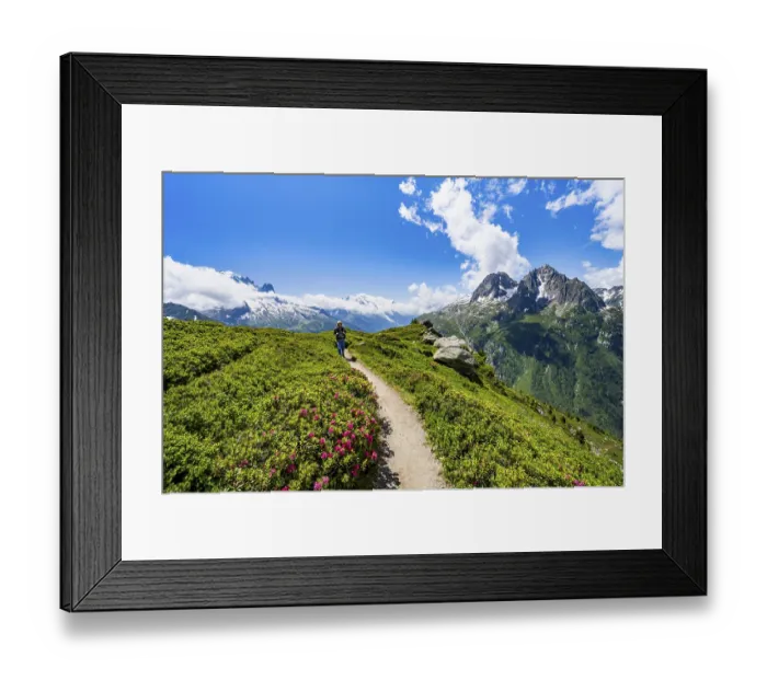 Framed Print : Mountaineers on hiking trail with alpine roses