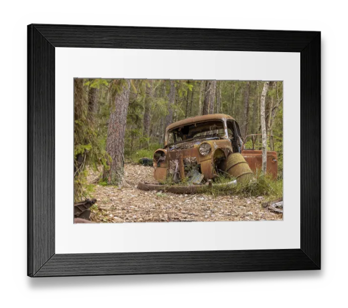 Framed Print : Car graveyard in the middle of the forest near Ryd Framed Print : Car graveyard in the middle of the forest near Ryd