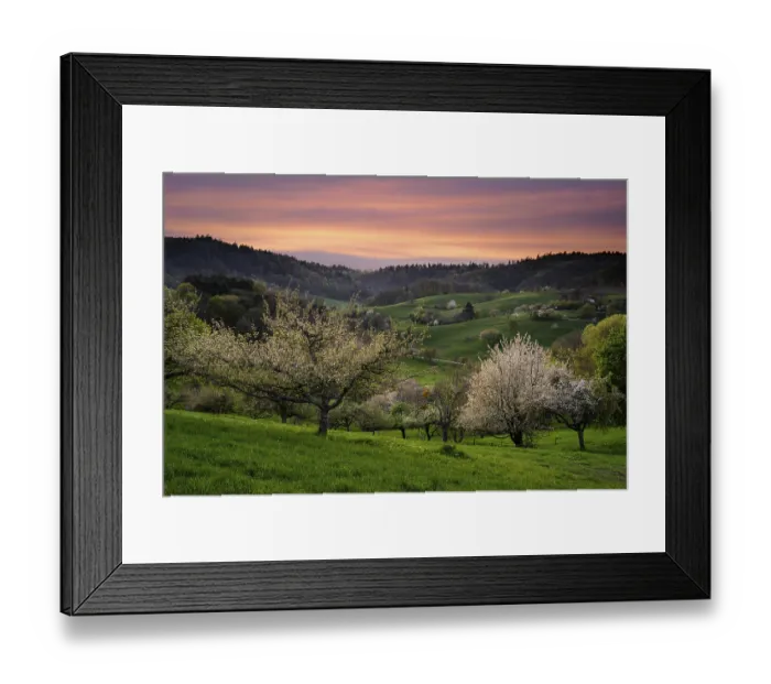 Framed Print : Spring landscape with meadows, hills and blossoming fruit trees