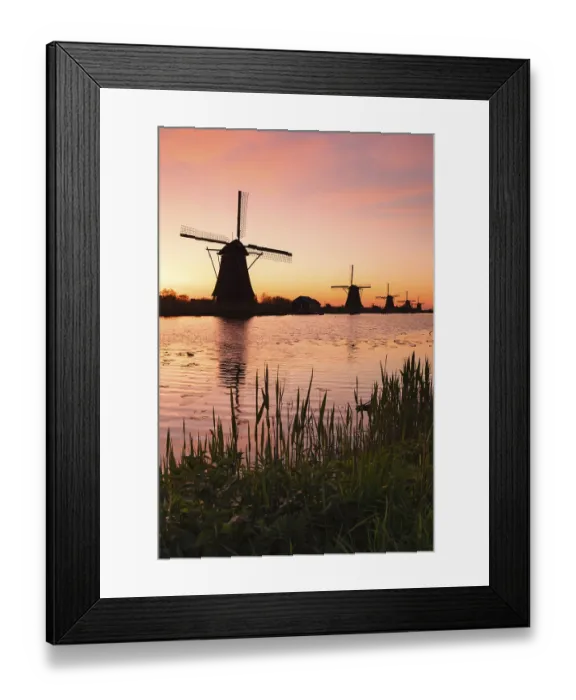 Framed Print : Windmills at sunrise, Kinderdijk Framed Print : Windmills at sunrise, Kinderdijk
