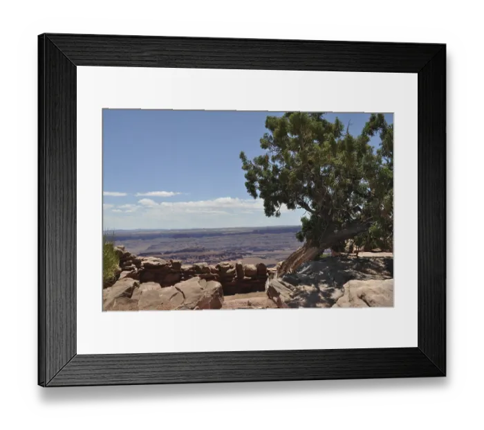 Framed Print : Crooked tree on rocky outcrop with a comprehensive view of the desert Framed Print : Crooked tree on rocky outcrop with a comprehensive view of the desert