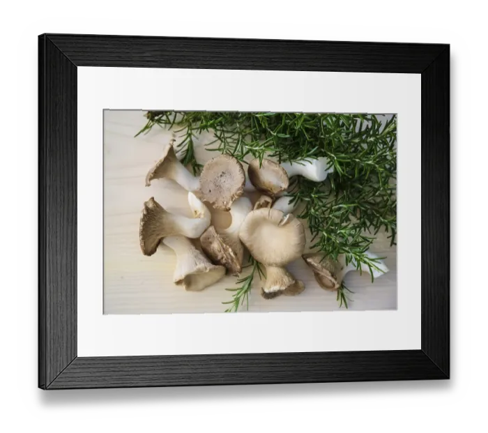 Framed Print : Brown king oyster mushroom (Pleurotus eryngii)
