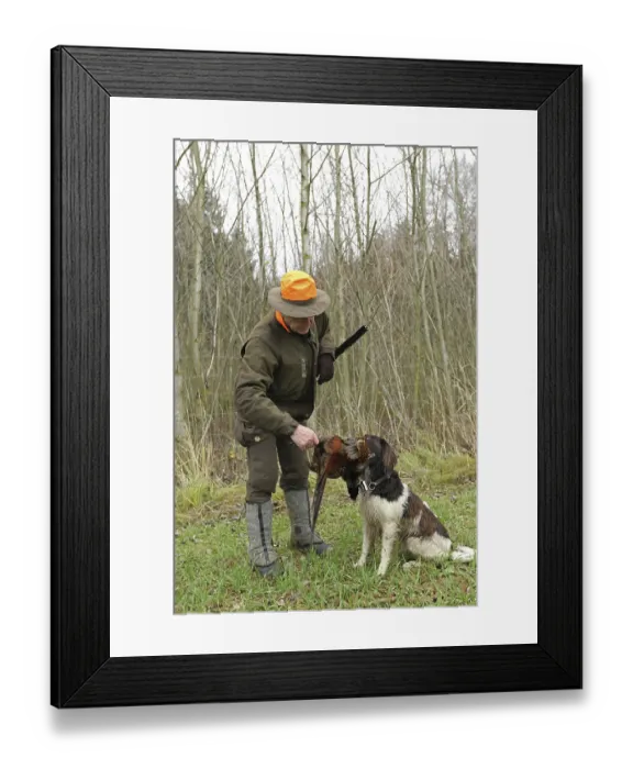 Framed Print : Hunter with shot pheasant (Phasianus colchicus) retrieved by hunting dog Kleiner Munsterlander