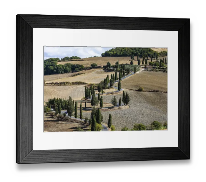 Framed Print : Winding road with cypress trees (Cupressus) leads through ploughed fields