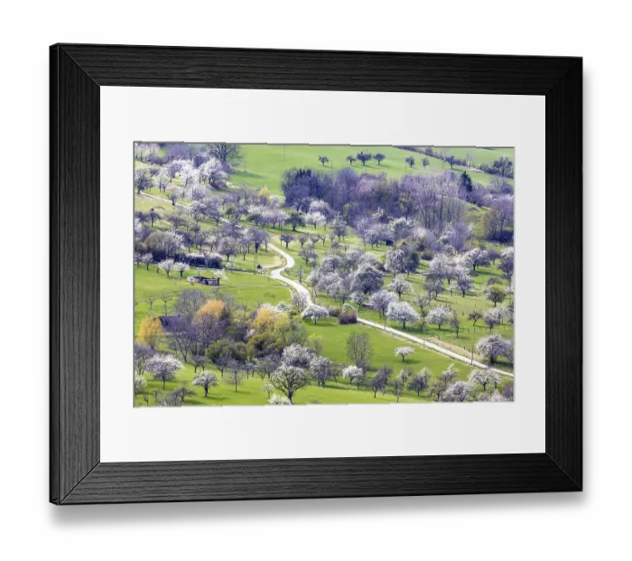 Framed Print : Orchard meadow at the foot of the Swabian Alb near Neuffen Framed Print : Orchard meadow at the foot of the Swabian Alb near Neuffen