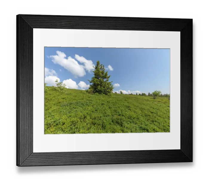 Framed Print : Landscape of the High Vosges near the riverbank road in spring Framed Print : Landscape of the High Vosges near the riverbank road in spring