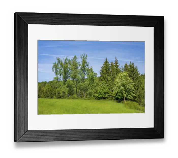 Framed Print : Horse chestnut (Aesculus hippocastanum)