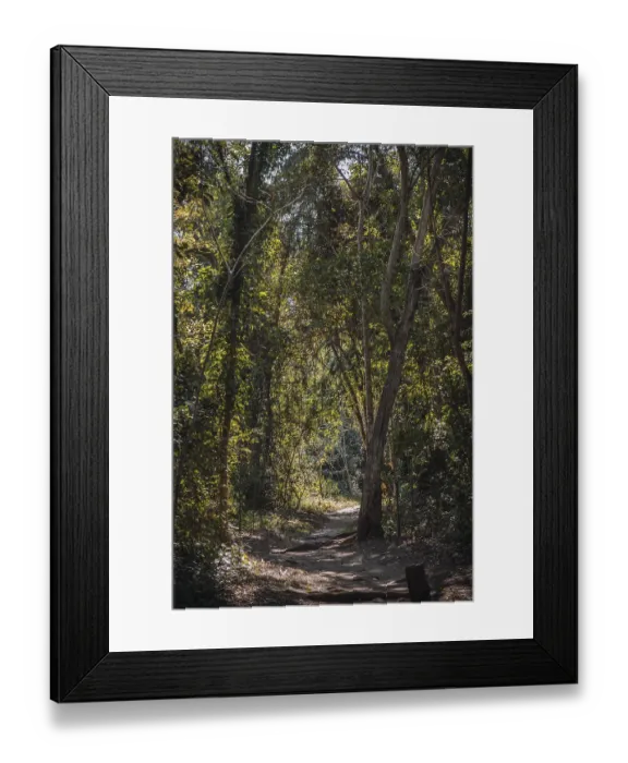 Framed Print : A beautiful path in the forest of the temples of Copan Ruinas