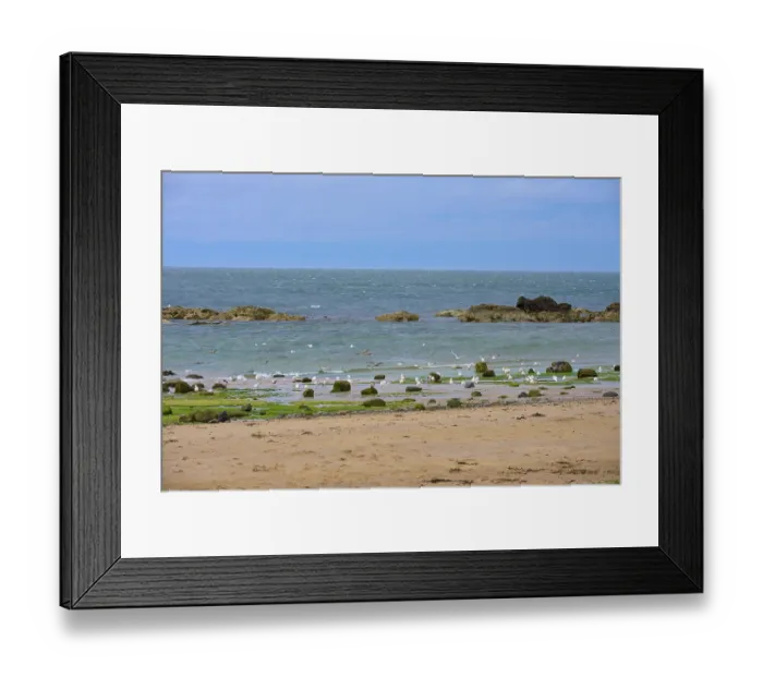 Framed Print : Sea with seagulls, rocks and waves