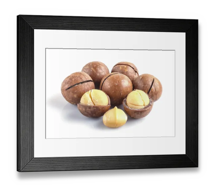 Framed Print : Pile of macadamia nuts with shell isolated on white background