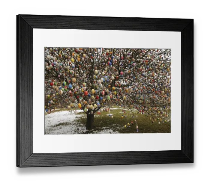 Framed Print : Easter egg tree, Germany