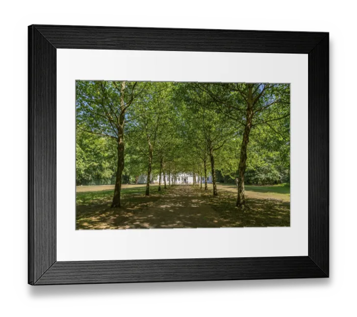 Framed Print : Alley at Bentlage Monastery Castle