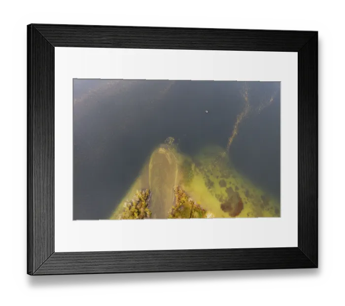 Framed Print : River delta of the Wangauer Ache into the Mondsee with autumnally discoloured mixed forest Framed Print : River delta of the Wangauer Ache into the Mondsee with autumnally discoloured mixed forest