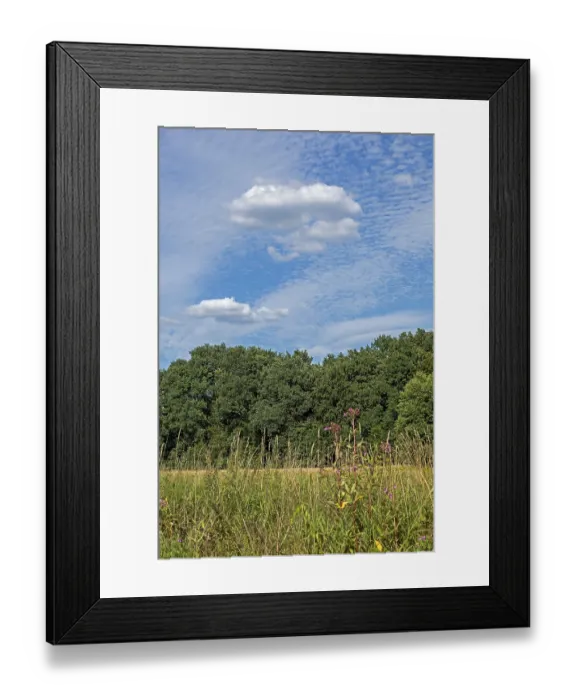 Framed Print : Trees and clouds, near Garstedt Framed Print : Trees and clouds, near Garstedt
