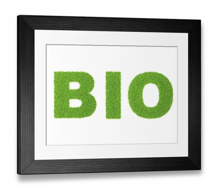 Framed Print : Grass word BIO, ecology eco friendly organic concept Framed Print : Grass word BIO, ecology eco friendly organic concept