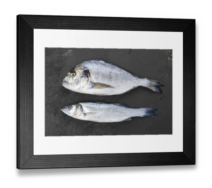 Framed Print : Fresh seabass and seabream fish on black stone background