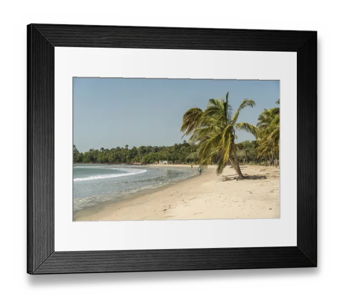 Framed Print : Palm trees on the beach of Sanyang Framed Print : Palm trees on the beach of Sanyang