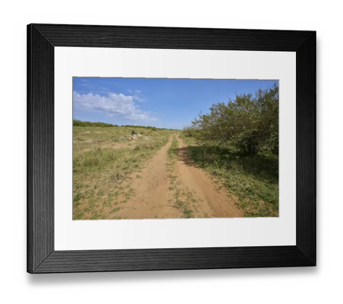 Framed Print : Savannah landscape with path, Masai Mara National Reserve