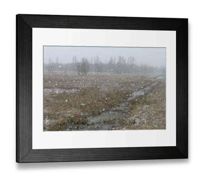 Framed Print : Snowfall over the moor in spring