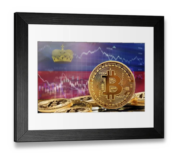 Framed Print : Investors in cryptocurrency and Blockchain Technology in Liechtenstein Framed Print : Investors in cryptocurrency and Blockchain Technology in Liechtenstein