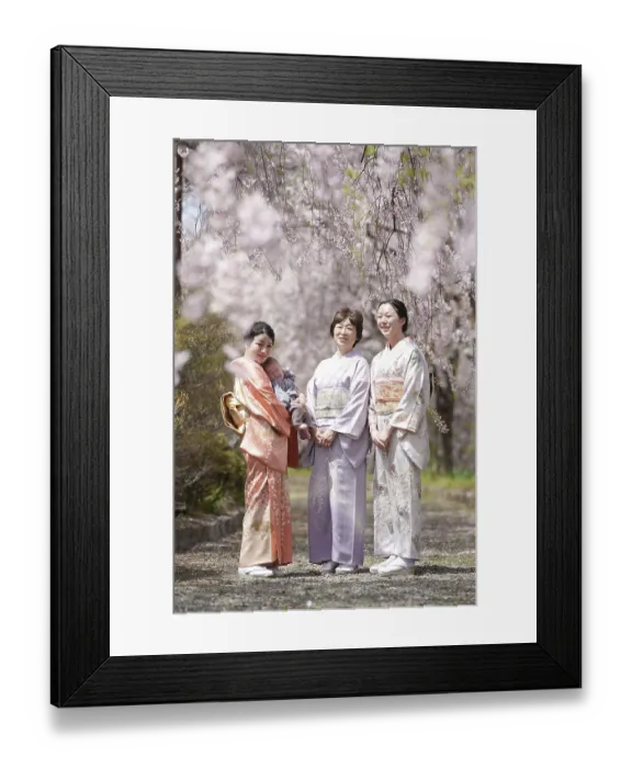 Framed Print : Three women in traditional Japanese clothing stand in front of cherry blossom trees