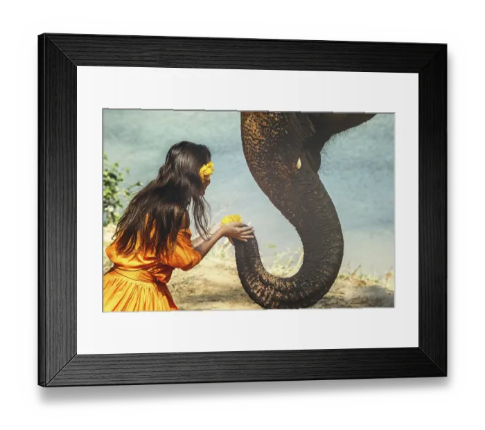 Framed Print : Woman in beautiful orange dress and big elephant with a flower Framed Print : Woman in beautiful orange dress and big elephant with a flower
