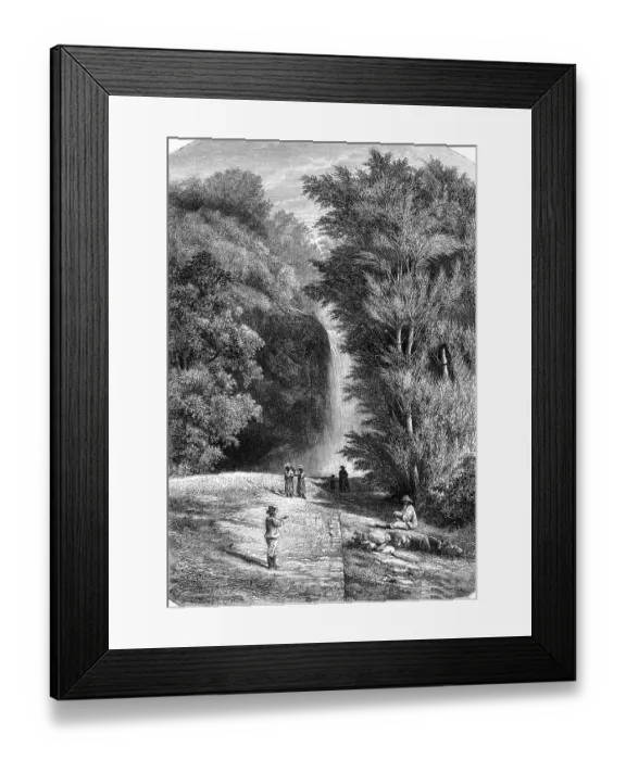 Framed Print : Cascade Botanical Garden of Saint-Pierre Framed Print : Cascade Botanical Garden of Saint-Pierre