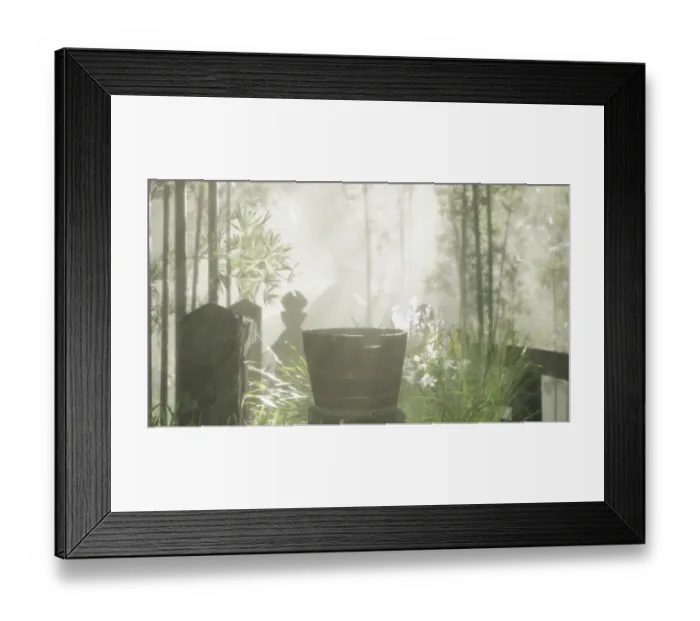 Framed Print : Japan bamboo forest and green meadow grass with natural light Framed Print : Japan bamboo forest and green meadow grass with natural light