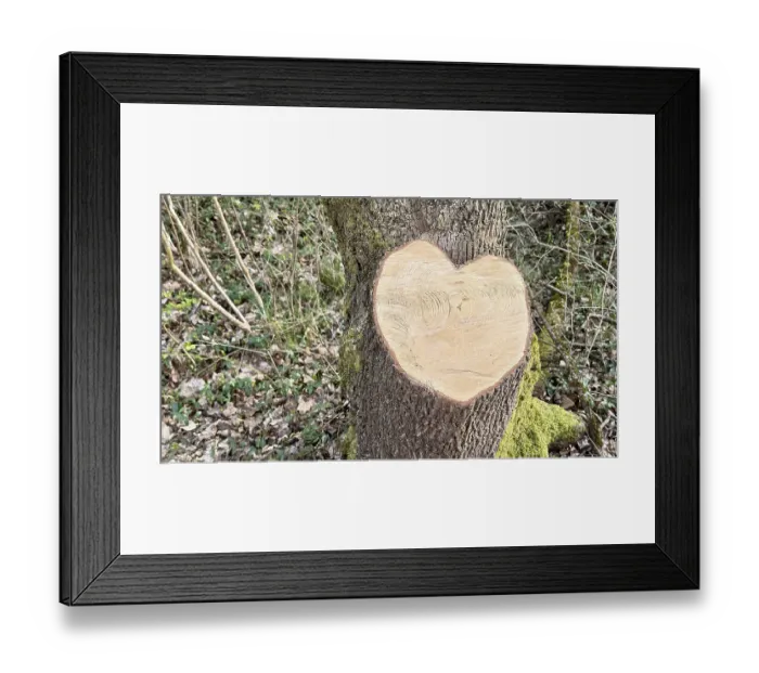 Framed Print : Heart shape, tree cut, tree root