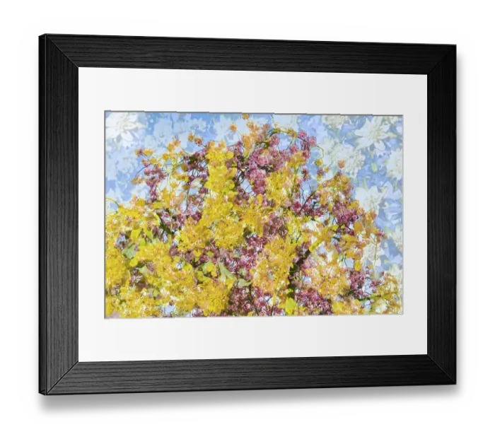 Framed Print : Flowers creative, artistic shot Framed Print : Flowers creative, artistic shot