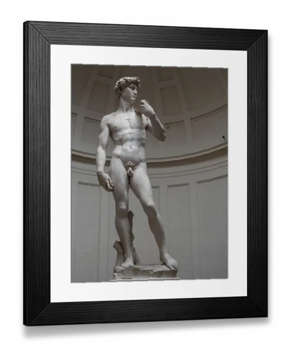 Framed Print : Statue of David by Michelangelo
