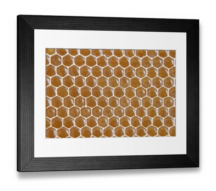 Framed Print : Honeycomb Framed Print : Honeycomb
