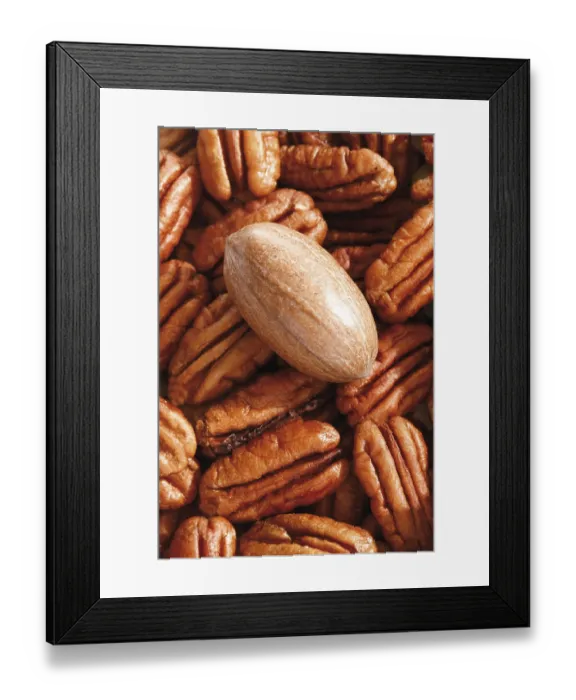 Framed Print : Pecans, full format