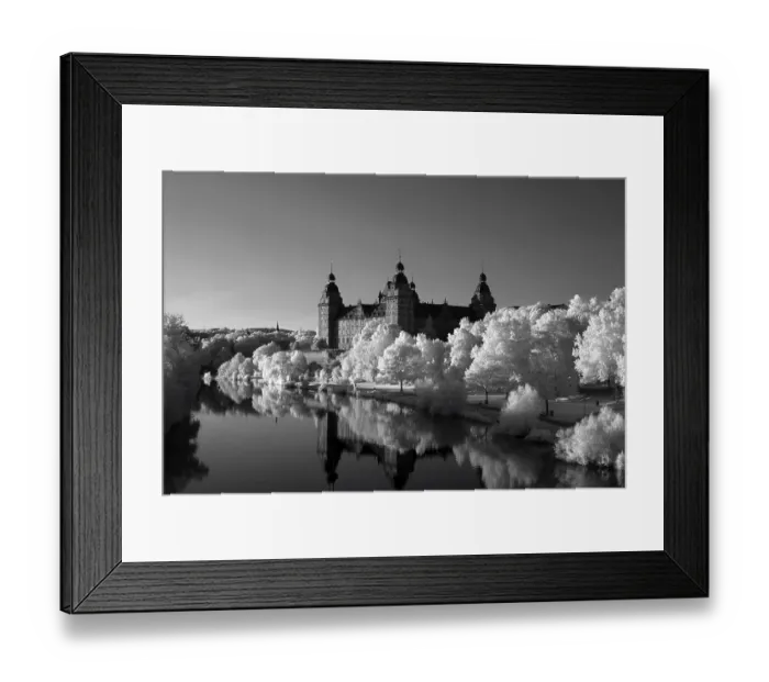 Framed Print : Schloss Johannisburg castle on the banks of the Main Framed Print : Schloss Johannisburg castle on the banks of the Main