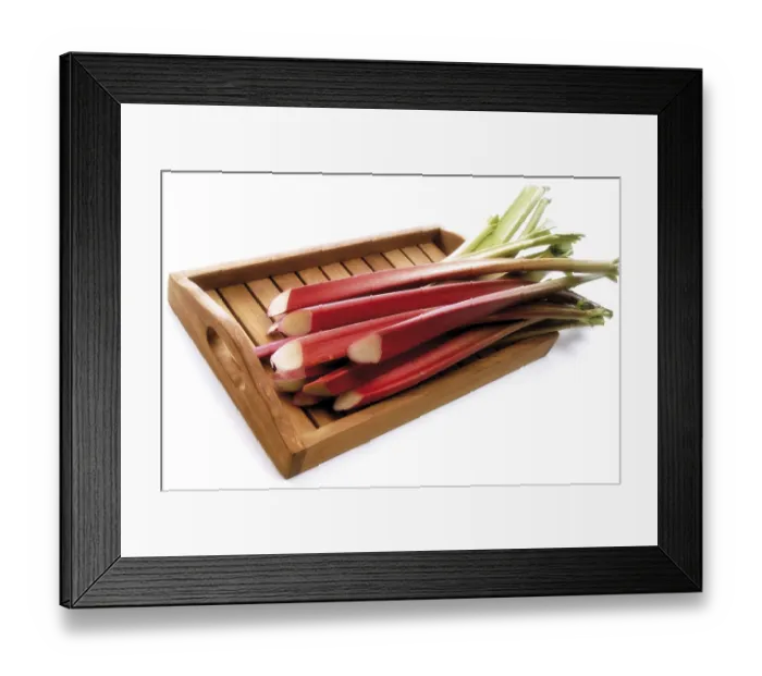 Framed Print : Rhubarb Framed Print : Rhubarb
