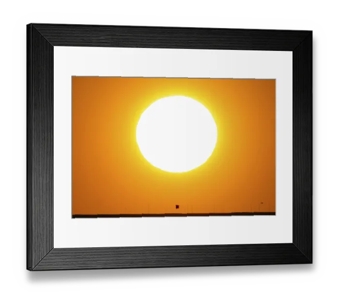 Framed Print : A bird flies under the sun rising over Frankfurt's rooftops