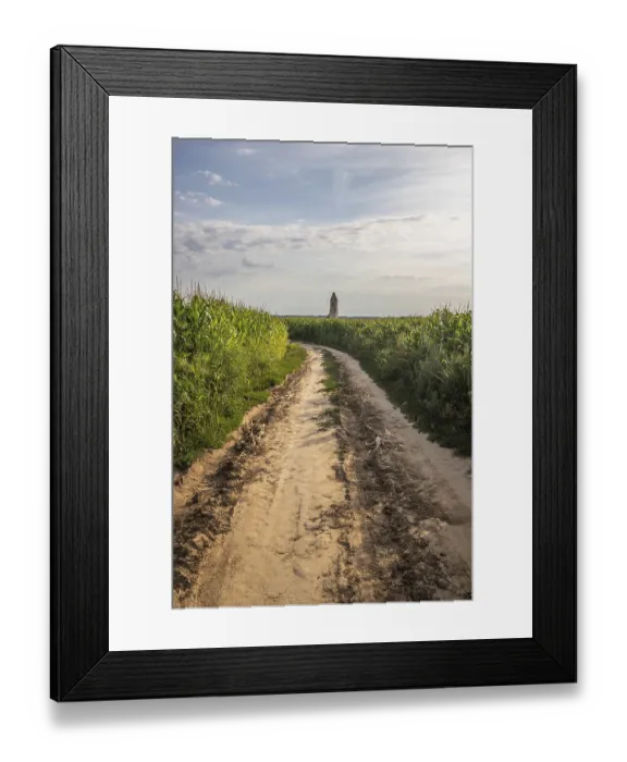 Framed Print : Old Catholic church, ruin in the middle of a cornfield