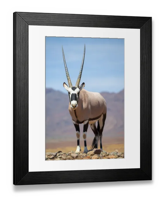 Framed Print : Oryx gazella, oryx antelope, Namib Desert, Namibia Framed Print : Oryx gazella, oryx antelope, Namib Desert, Namibia