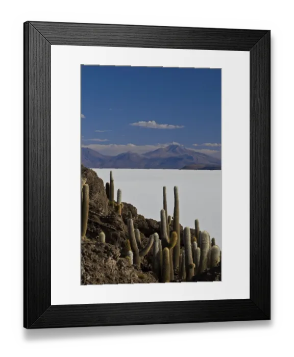 Framed Print : Isla del pescado in the Salar de Uyuni