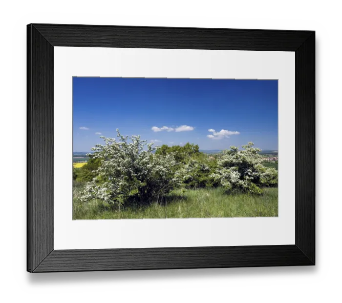 Framed Print : Horky u Milotic Nature Reserve