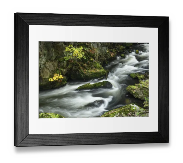 Framed Print : Bode Gorge in autumn, Bodetal, Harz National Park Framed Print : Bode Gorge in autumn, Bodetal, Harz National Park