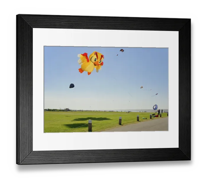 Framed Print : Colourful kites in the air above the dragon meadow of Norddeich Framed Print : Colourful kites in the air above the dragon meadow of Norddeich