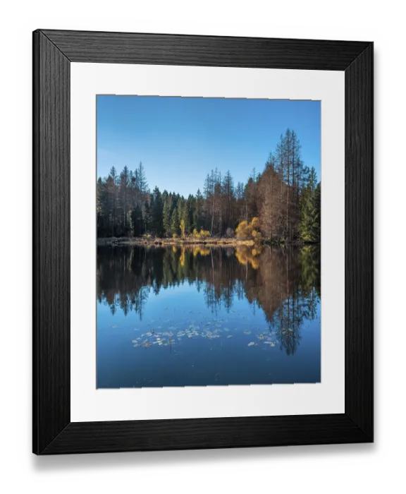 Framed Print : Small lake in the Thuringian Forest in autumn Framed Print : Small lake in the Thuringian Forest in autumn