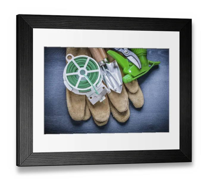Framed Print : Set of garden tools on protective glove Framed Print : Set of garden tools on protective glove