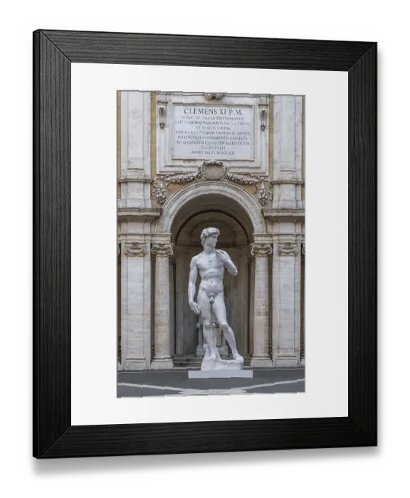 Framed Print : Statue of David by Michelangelo in Rome, Italy