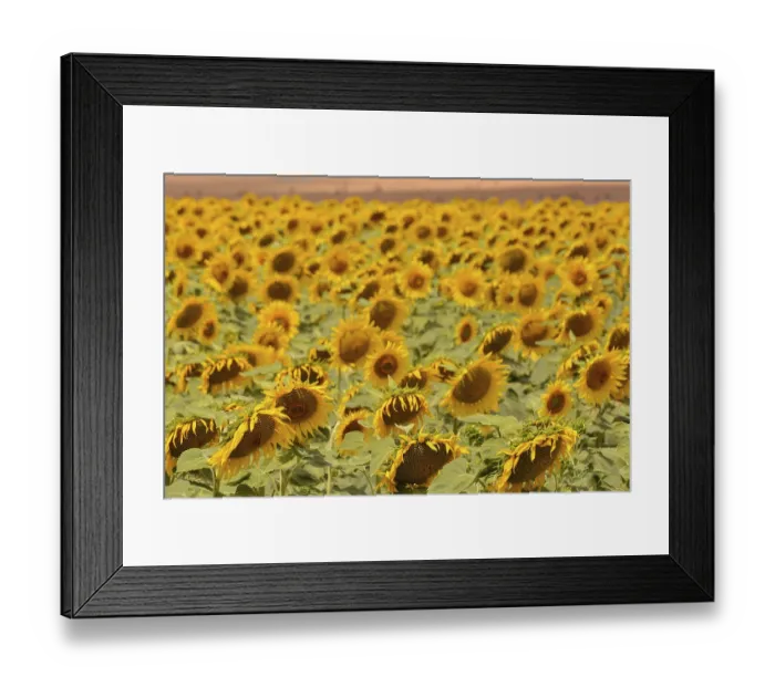 Framed Print : Photo Picture Scenic photography landscape European natural countryside
