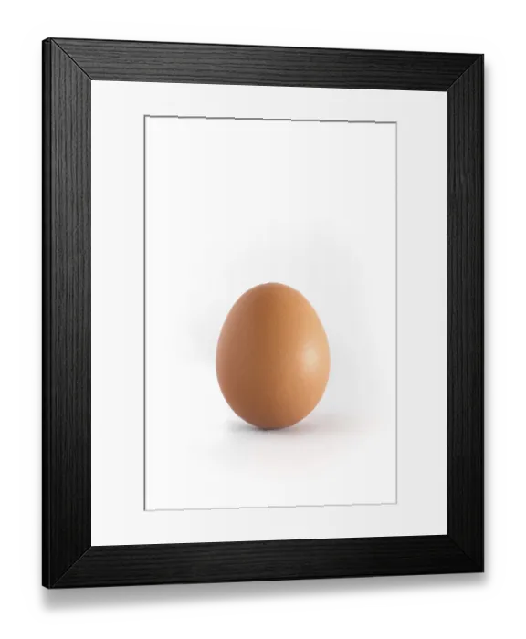 Framed Print : Single egg on white background vertical