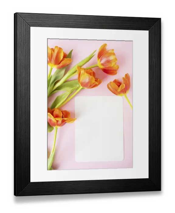 Framed Print : A beautiful bouquet of orange peony tulips along with a white card in the middle isolated on a pink background