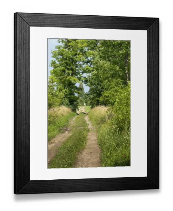 Framed Print : Cart track, cartway, field edge