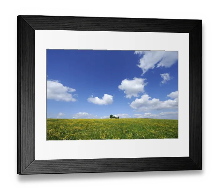 Framed Print : Flower meadow near Degerndorf, Maria-Dank-Kapelle chapel at back
